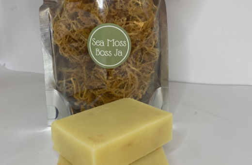 Apple Cider Vinegar Sea Moss Soap